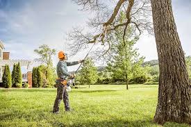 Best Lawn Renovation and Restoration  in Emory, VA