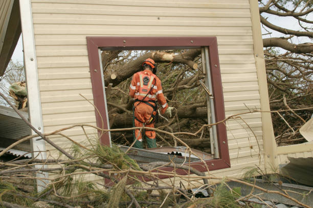 Reliable Emory, VA Tree Services Solutions